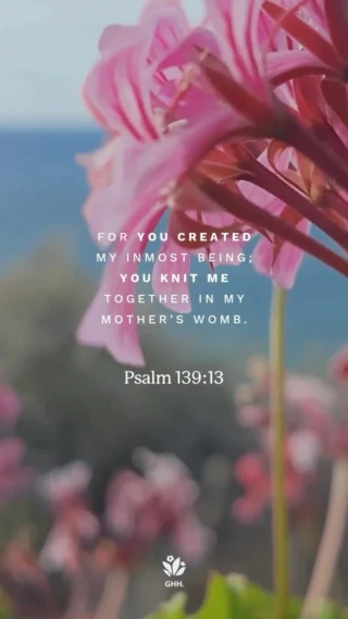 God cares about you so greatly. He made no accidents or mistakes when He made you. Hold tightly to this truth and to His words in moments when you feel self-conscious about the body God gave you. 🌟